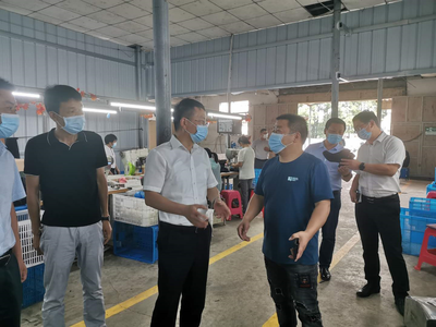 王建華在浮屠調研脫貧攻堅、鄉村振興和巡視反饋問題整改工作